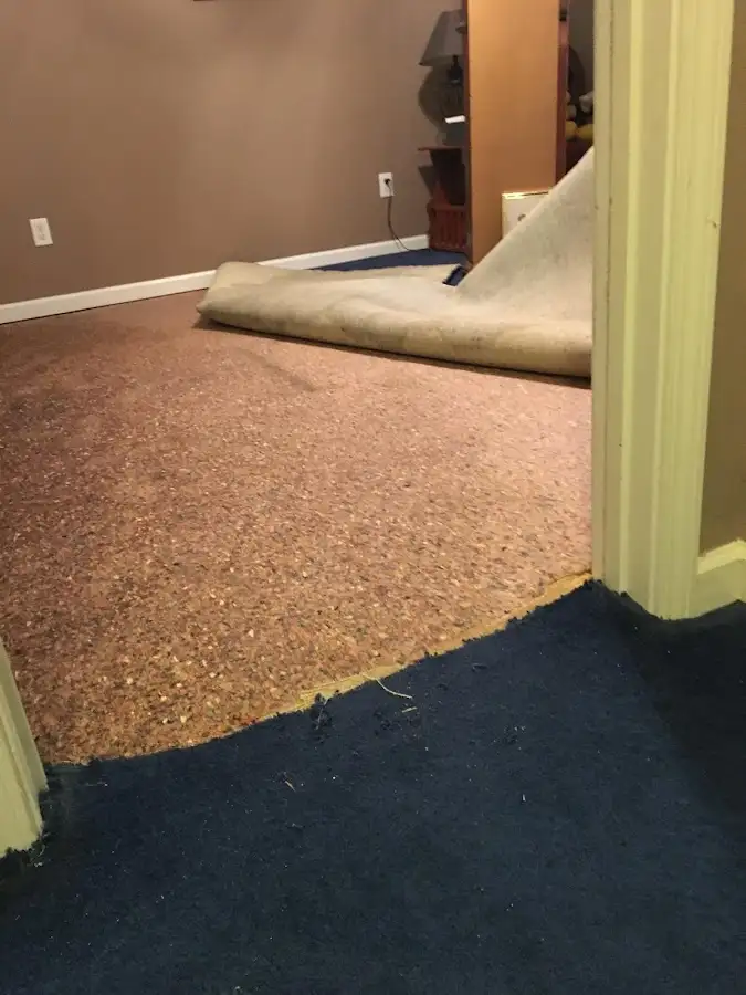 Carpet pad removal revealing water damage during Drying & Dehumidification in Worcester